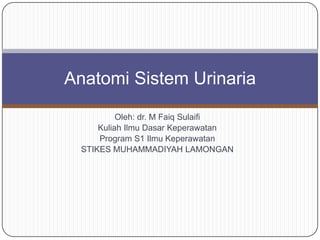 Oleh: dr. M Faiq Sulaifi
Kuliah Ilmu Dasar Keperawatan
Program S1 Ilmu Keperawatan
STIKES MUHAMMADIYAH LAMONGAN
Anatomi Sistem Urinaria
 