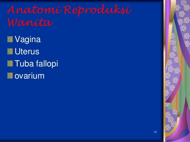 Anatomi sist reproduksi AKPER PEMKAB MUNA