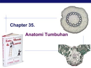 AP Biology
Chapter 35.
Anatomi Tumbuhan
 