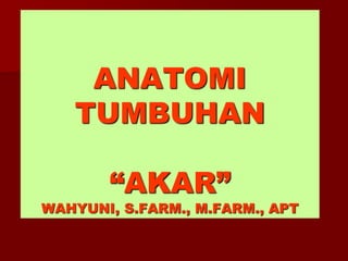 ANATOMI
TUMBUHAN
“AKAR”
WAHYUNI, S.FARM., M.FARM., APT
 