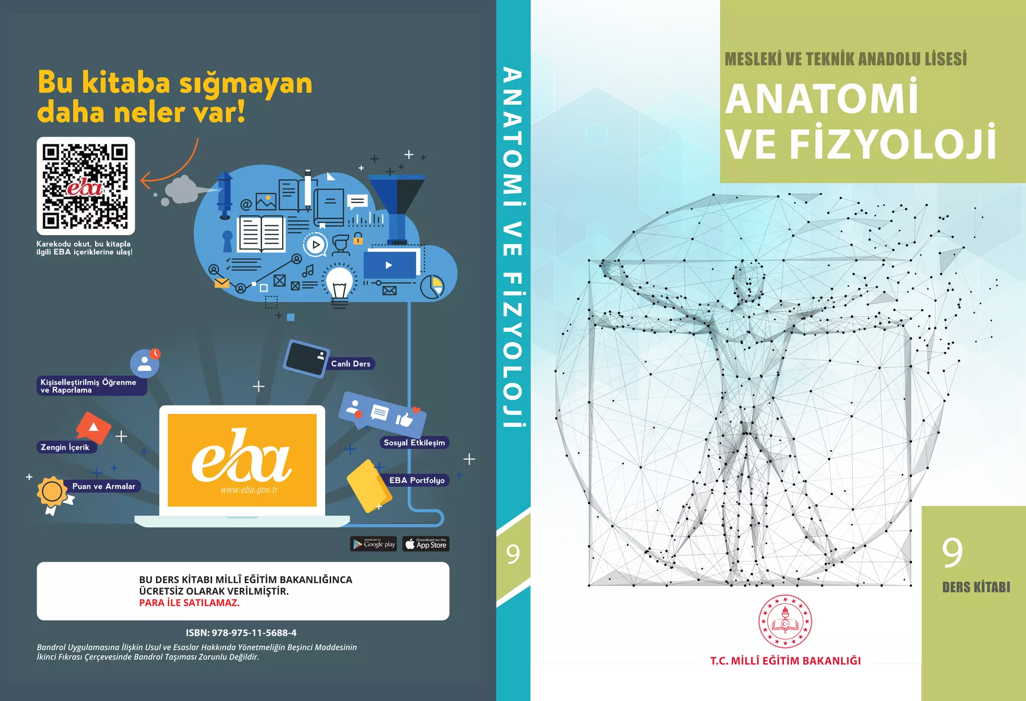 Veteriner Anatomi kaslar