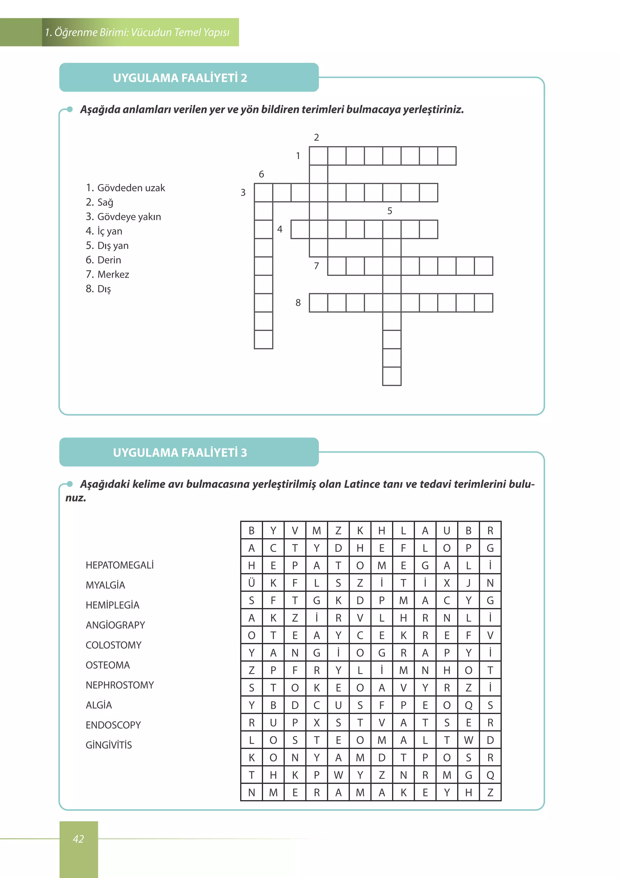 Veteriner Anatomi Atlası PDF