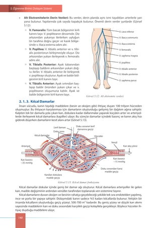 9.sınıf anatomi ve fizyoloji kitabı