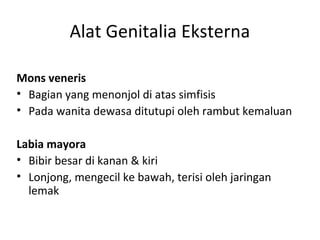 Alat Genitalia Eksterna
Mons veneris
• Bagian yang menonjol di atas simfisis
• Pada wanita dewasa ditutupi oleh rambut kemaluan
Labia mayora
• Bibir besar di kanan & kiri
• Lonjong, mengecil ke bawah, terisi oleh jaringan
lemak
 