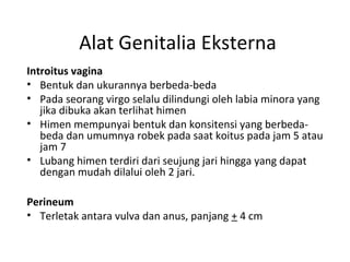 Alat Genitalia Eksterna
Introitus vagina
• Bentuk dan ukurannya berbeda-beda
• Pada seorang virgo selalu dilindungi oleh labia minora yang
jika dibuka akan terlihat himen
• Himen mempunyai bentuk dan konsitensi yang berbeda-
beda dan umumnya robek pada saat koitus pada jam 5 atau
jam 7
• Lubang himen terdiri dari seujung jari hingga yang dapat
dengan mudah dilalui oleh 2 jari.
Perineum
• Terletak antara vulva dan anus, panjang + 4 cm
 