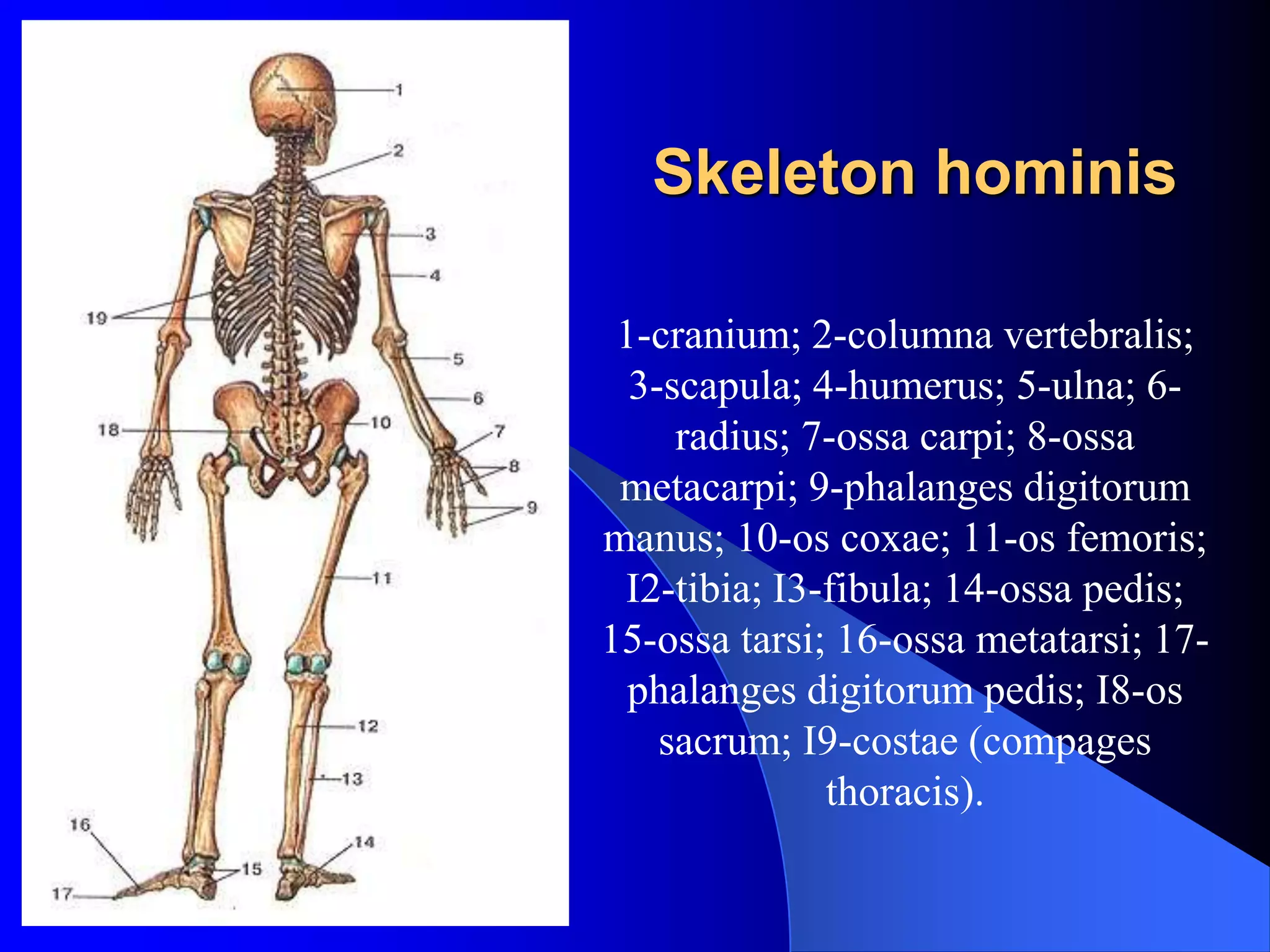 Eng pornografik fotosuratlar