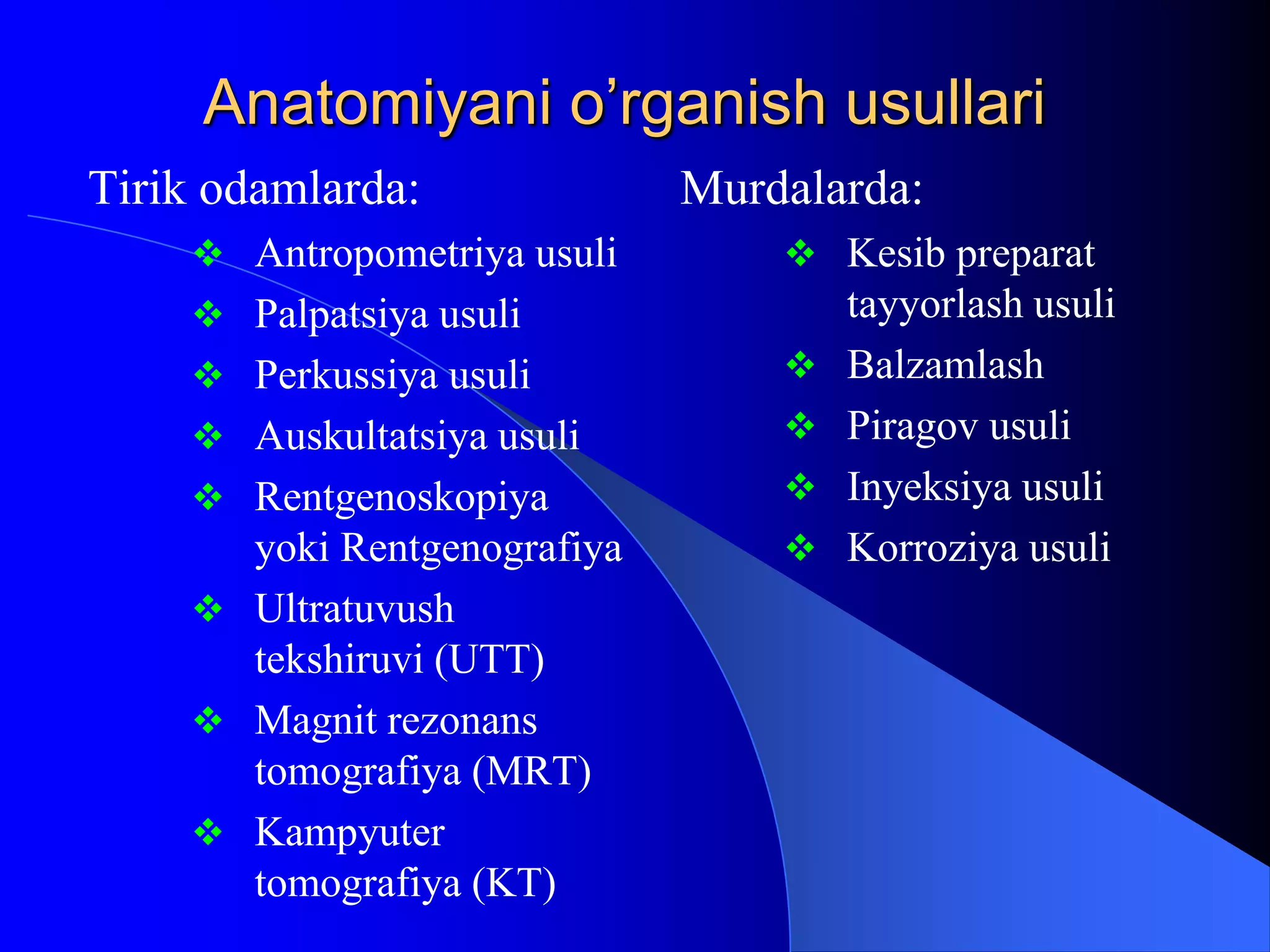 Rus birodar-singil porno video onlayn