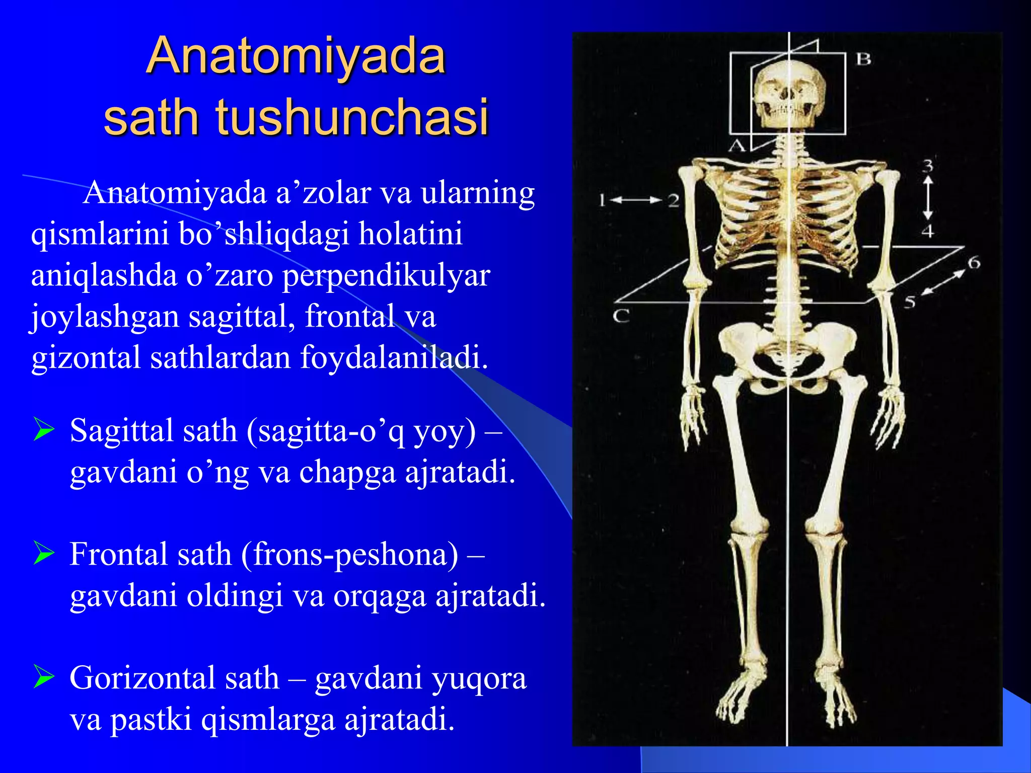 Bred Pitt porno video