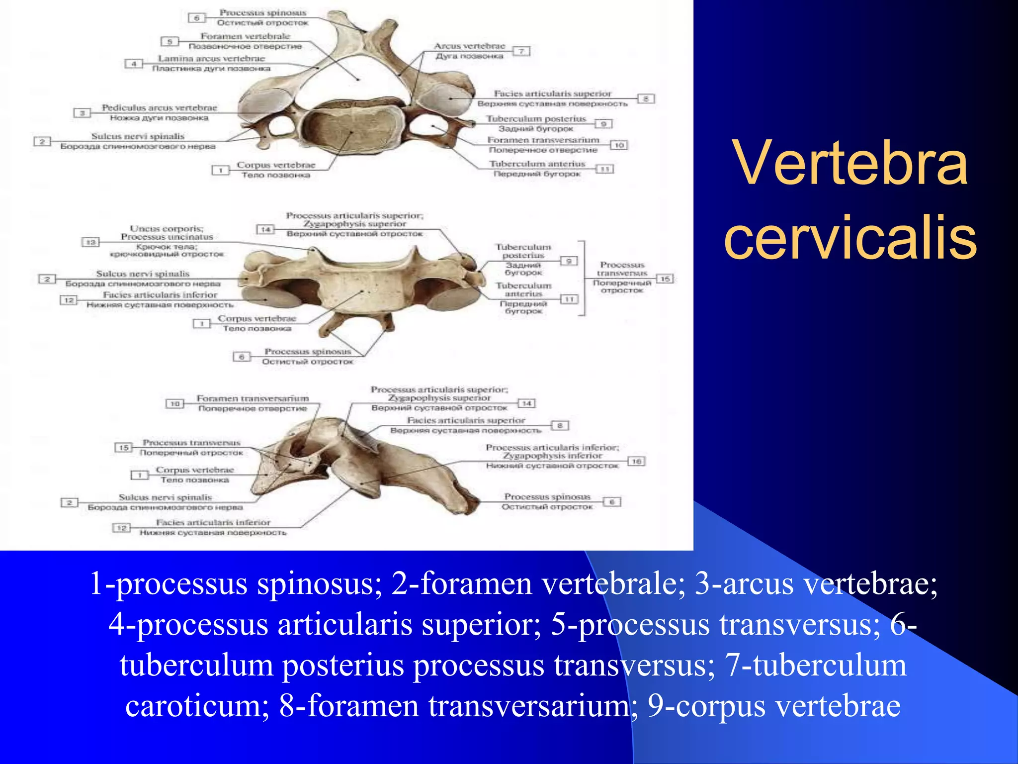 Kate Jones pornosini onlayn tomosha qiling