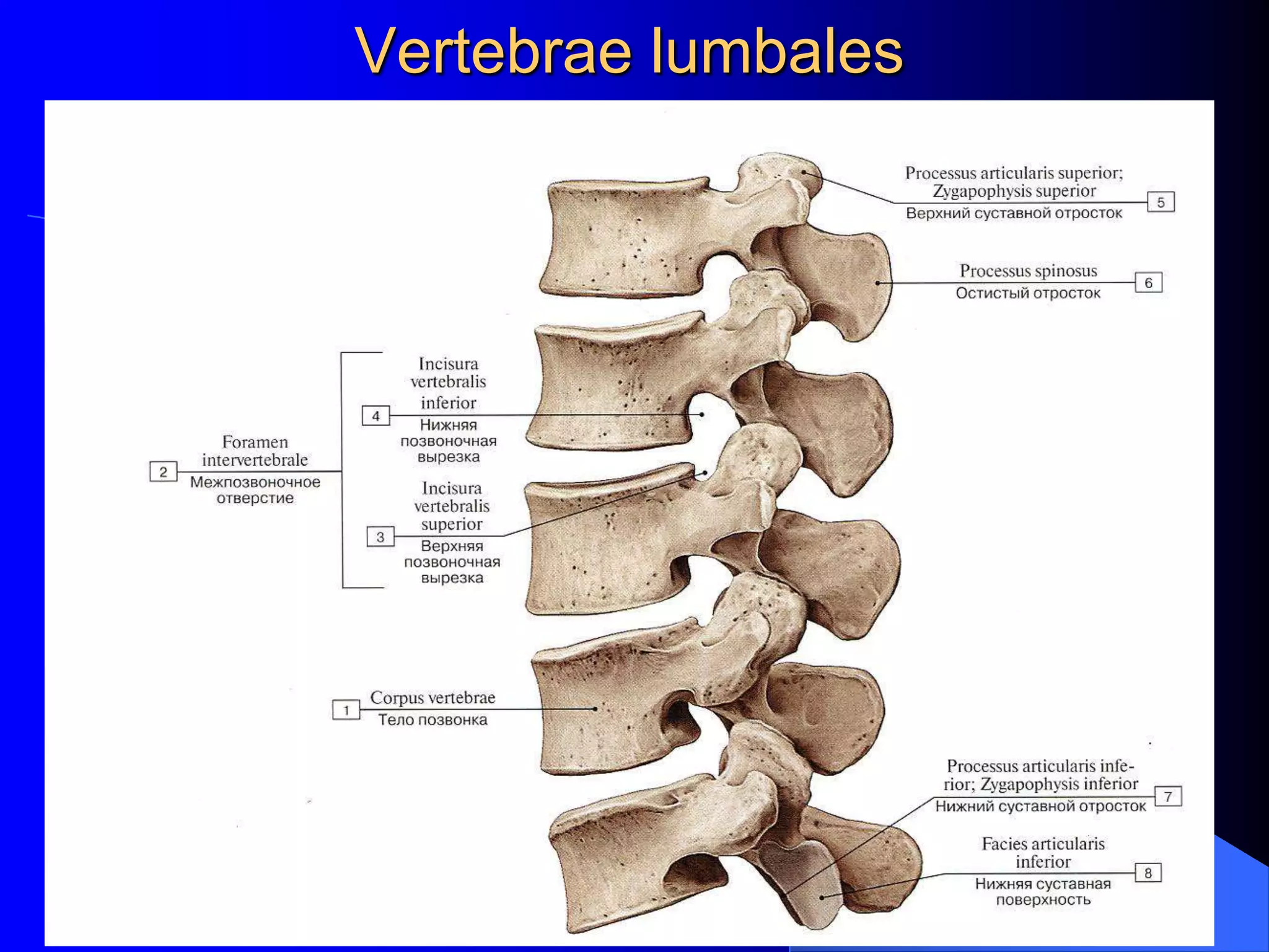 Odamlar jinni, surat
