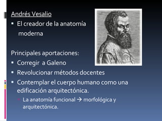 Andrés Vesalio El creador de la anatomía   moderna Principales aportaciones: Corregir  a Galeno Revolucionar métodos docentes Contemplar el cuerpo humano como una edificación arquitectónica. La anatomía funcional    morfológica y arquitectónica. 
