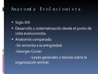 Anatomía Evolucionista Siglo XIX  Desarrollo y sistematización desde el punto de vista evolucionista.  Anatomía comparada.  -Se remonta a la antigüedad -Georges Cuvier  -Leyes generales y teorías sobre la organización animal.  