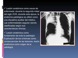 Lesión anatómica como causa de enfermeda: durante la segunda mitad del siglo XVIII, durante esta época, la anatomía patológica se utilizó como una disciplina auxiliar del médico. Las enfermedades seguían siendo clasificadas según sus características clínicas.  Lesión anatómica como fundamento de toda la patología: Explicación de los síntomas como consecuencias de las lesiones, lesión anatómica como origen de la patología.  