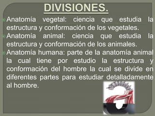 Anatomía vegetal: ciencia que estudia la
estructura y conformación de los vegetales.
Anatomía animal: ciencia que estudia la
estructura y conformación de los animales.
Anatomía humana: parte de la anatomía animal
la cual tiene por estudio la estructura y
conformación del hombre la cual se divide en
diferentes partes para estudiar detalladamente
al hombre.
 