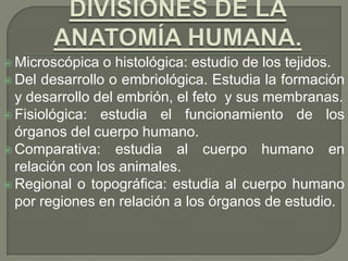  Microscópica o histológica: estudio de los tejidos.
 Del desarrollo o embriológica. Estudia la formación
y desarrollo del embrión, el feto y sus membranas.
 Fisiológica: estudia el funcionamiento de los
órganos del cuerpo humano.
 Comparativa: estudia al cuerpo humano en
relación con los animales.
 Regional o topográfica: estudia al cuerpo humano
por regiones en relación a los órganos de estudio.
 