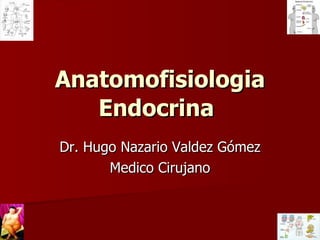Anatomofisiologia Endocrina   Dr. Hugo Nazario Valdez Gómez Medico Cirujano 