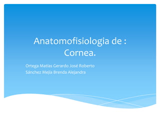 Anatomofisiologia de :
Cornea.
Ortega Matías Gerardo José Roberto
Sánchez Mejía Brenda Alejandra

 