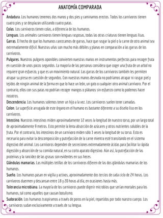 Anatomofisiologia digestiva comparada