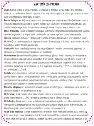 Anatomofisiologia digestiva comparada