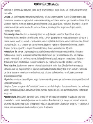 Anatomofisiologia digestiva comparada