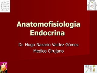 Anatomofisiologia Endocrina   Dr. Hugo Nazario Valdez Gómez Medico Cirujano 