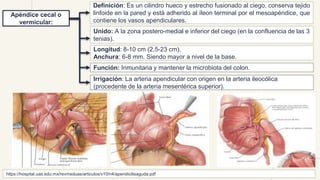 ANATOMOPATOLOGIA DEL APENDICE VERMIFORME pptx