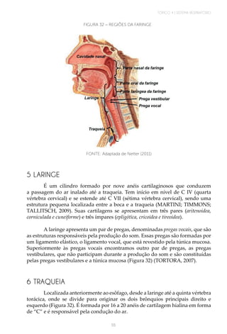Anatomorfofisiologia do Sistema Cardiorrespiratório e Nervoso.pdf
