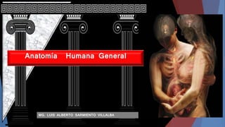 Anatomía Humana General
MG. LUIS ALBERTO SARMIENTO VILLALBA
 