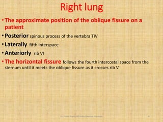 Anatomy -Grays anatomy_thoracic part for medical students | PDF
