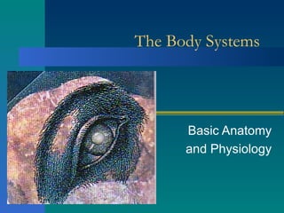 The Body Systems Basic Anatomy and Physiology 