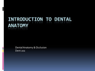 Introduction to Dental Anatomy Dental Anatomy & Occlusion Dent 202 