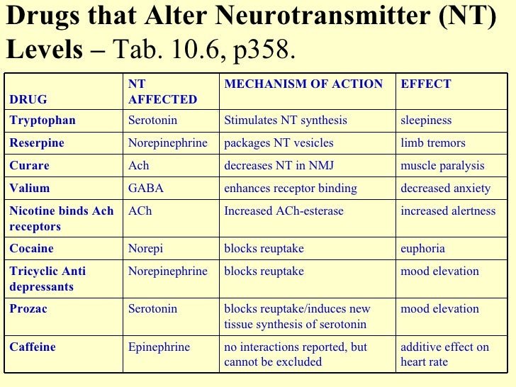 Anxiety May Alter Processing Of >> Anatomy Anxiety May Alter Processing Of >> Anatomy