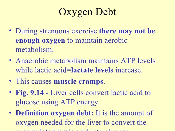 Oxygen Debt Definition Anatomy