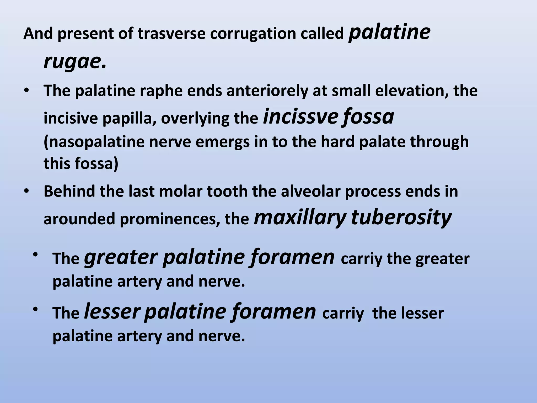 Anatomy of the oral cavity | PPT