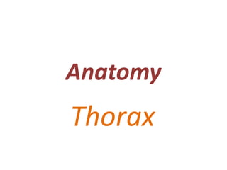 Anatomy
Thorax
 
