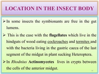 insect cellular micro-organisms and their roles | PPTX
