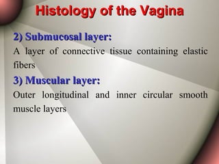 Anatomy Of The Female Genital Tract PPS anatomy-of-the-female-genital-tract-pps