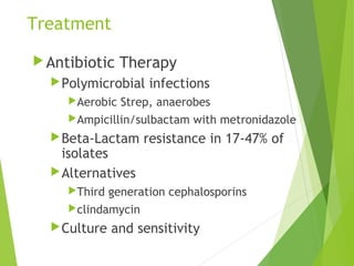 Treatment
Antibiotic Therapy
Polymicrobial infections
Aerobic Strep, anaerobes
Ampicillin/sulbactam with metronidazole
Beta-Lactam resistance in 17-47% of
isolates
Alternatives
Third generation cephalosporins
clindamycin
Culture and sensitivity
 