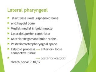 Lateral pharyngeal
 start:Base skull .esphenoid bone
 end:hayoid bone
 Medial:medial trigoid muscle
 Lateral:superior constrictor
 Anterior:trigomandibular raphe
 Pesterior:retropharyngeal space
 Estyloid processs anterior= loose
connective tissue
 posterior=carotid
sleath,nerve 9,10,12
 