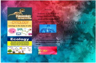 Anatomy
Anatomy is the branch of
biology that deals with the
study of the structure of
organisms and their parts
.
Botany
is the scientific study of plants, including
their physiology, structure, genetics, and
ecology
BRANCHES OF
BIOLOGY
SUBMITTED BY:
JAMAILLA MELENDREZ
STEM 11- ZENITH
 