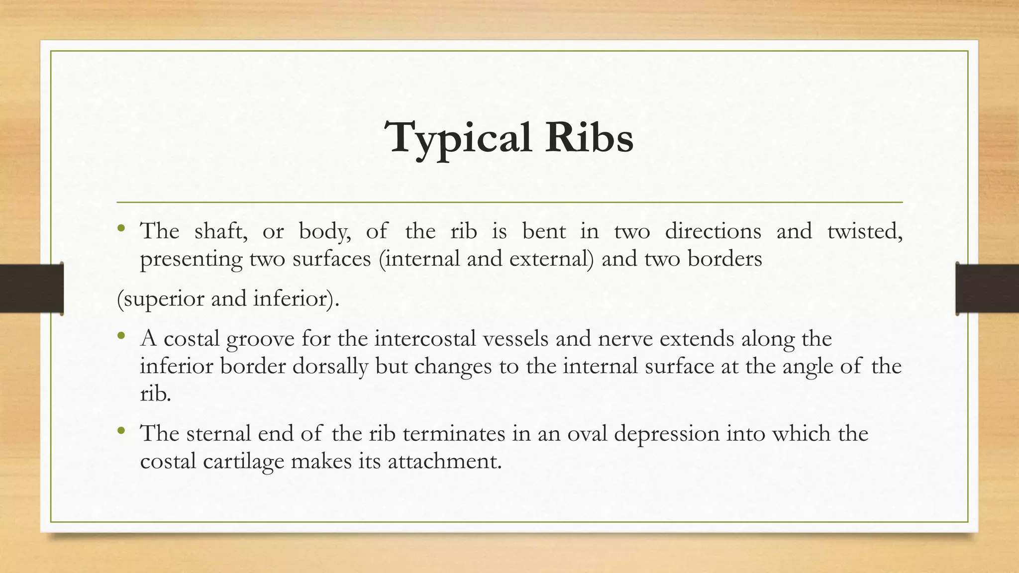 Anatomy of Thorax | PPTX
