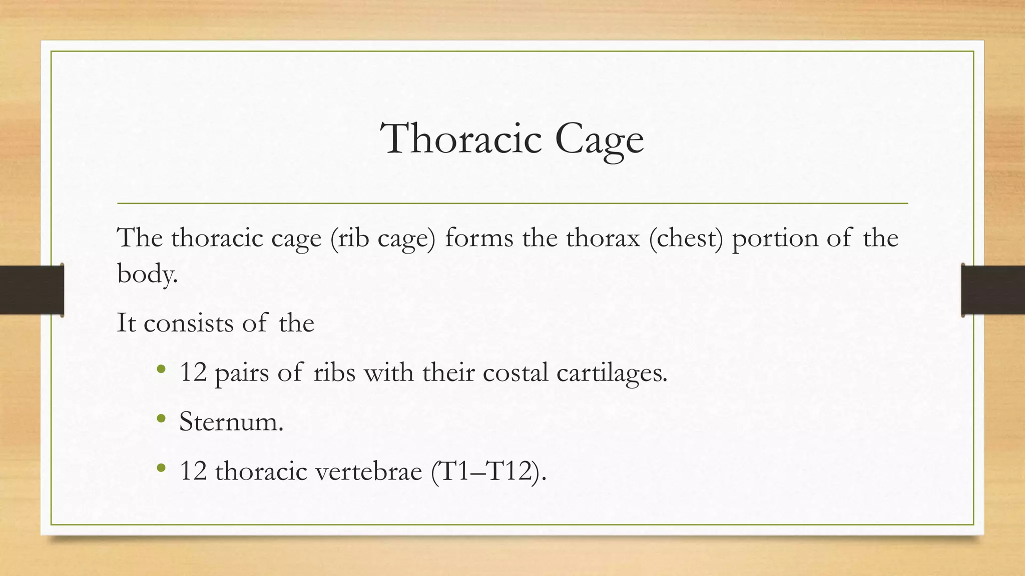 Anatomy of Thorax | PPTX