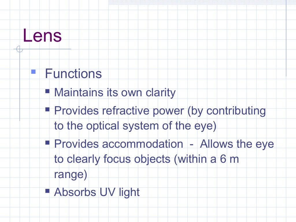 Anatomy of Lens Ophthalmology