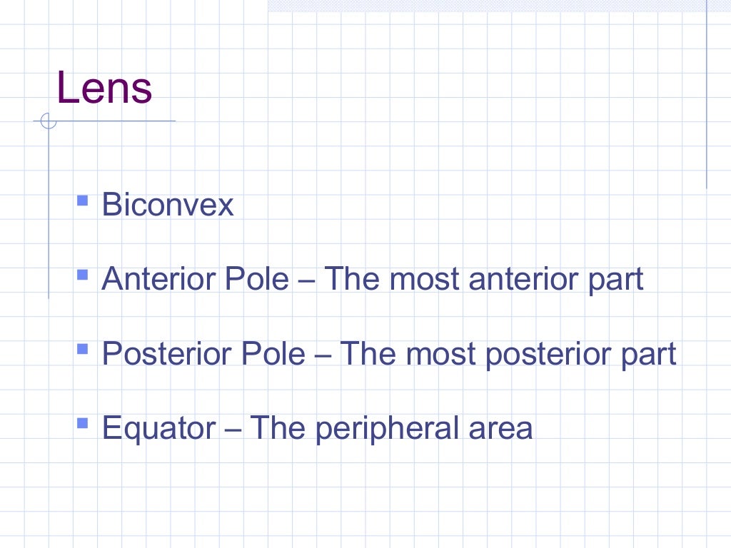 Anatomy of Lens Ophthalmology