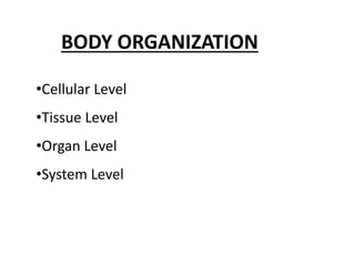 BODY ORGANIZATION
•Cellular Level
•Tissue Level
•Organ Level
•System Level
 