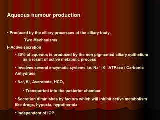 Aqueous humour production
• Produced by the ciliary processes of the ciliary body.
Two Mechanisms
I- Active secretion
• 80% of aqueous is produced by the non pigmented ciliary epithelium
as a result of active metabolic process
• Involves several enzymatic systems i.e. Na+ - K + ATPase / Carbonic
Anhydrase
• Na+, K+, Ascrobate, HCO3
• Transported into the posterior chamber
• Secretion diminishes by factors which will inhibit active metabolism
like drugs, hypoxia, hypothermia
• Independent of IOP

 