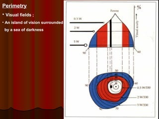 Perimetry
• Visual fields ;
• An island of vision surrounded
by a sea of darkness

 