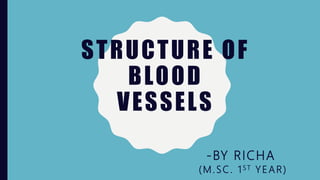 STRUCTURE OF
BLOOD
VESSELS
-BY RICHA
(M.SC. 1ST YEAR)
 