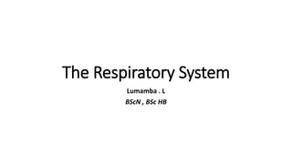 The Respiratory System
Lumamba . L
BScN , BSc HB
 