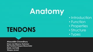 Afazuddin Chowdhury
TENDONS
Anatomy
• Introduction
• Function
• Properties
• Structure
• Types
Khan md Mizanur Rahman
Md Tanbirul Haque Mozumder
Molla md Rafij
Waqas Javed
 